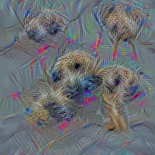 n02093647 Bedlington terrier